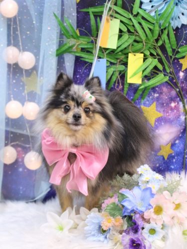 20250716ろあちゃん