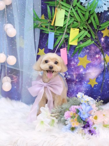 20250716ショコラくん