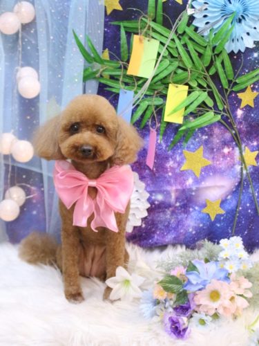 20250716かぐらちゃん