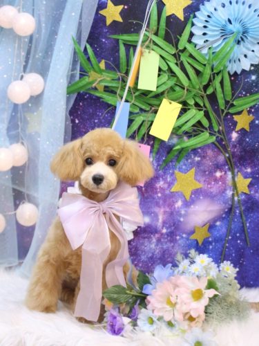 20250717服部-むぎちゃん