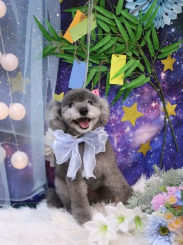 20250717タルトくん