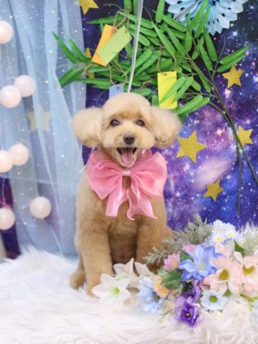 20250717モンチちゃん