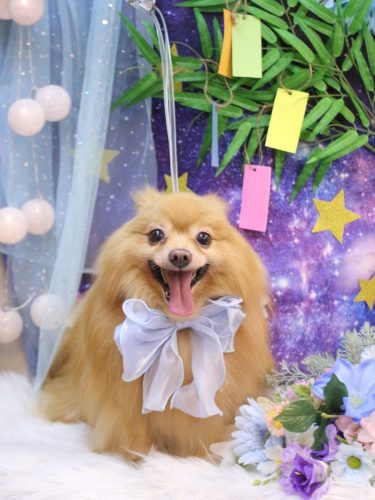 20250717リーくん