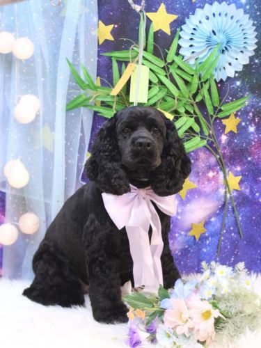 20250717天ちゃん