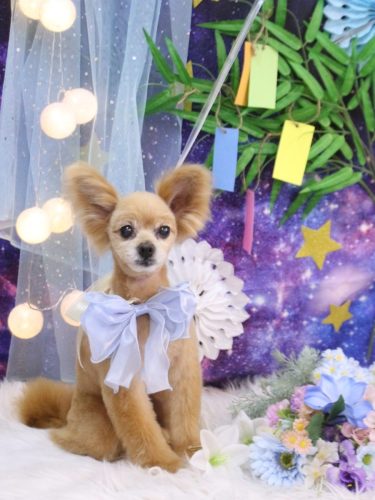 20250718クッキーくん