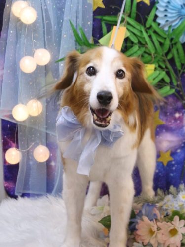 20250718レオくん