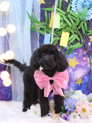 20250718アルちゃん