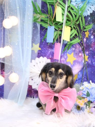 20250718ねるちゃん