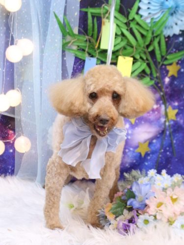 20250718ケンくん