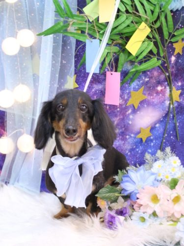 20250718オレンジくん