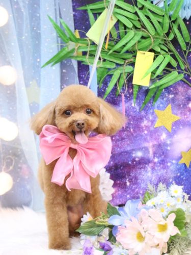 20250719このはちゃん