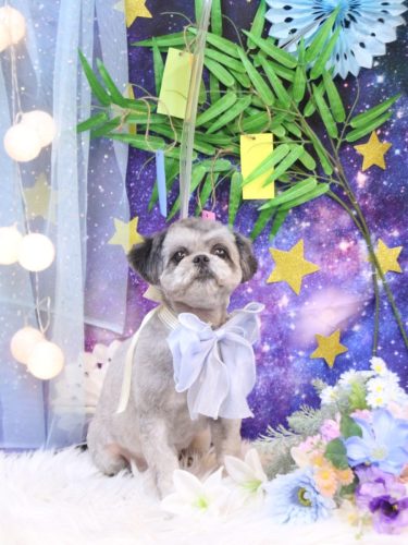 20250719パンくん