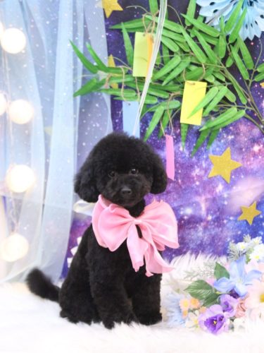 20250719レアちゃん