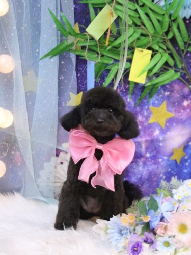 20250719ココちゃん