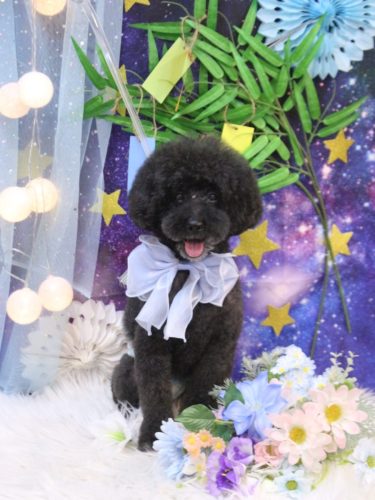 20250719ラブくん