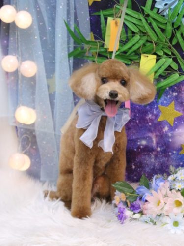 20250719バディくん 