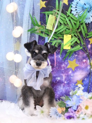 20250719ジジくん