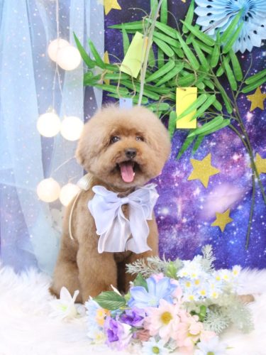 20250720カイくん