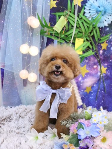 20250720ソラくん