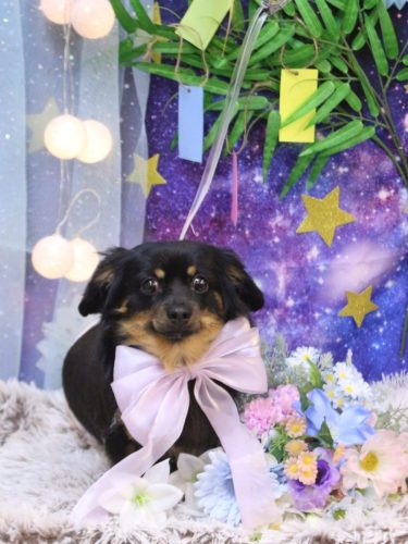 20250720のあくん