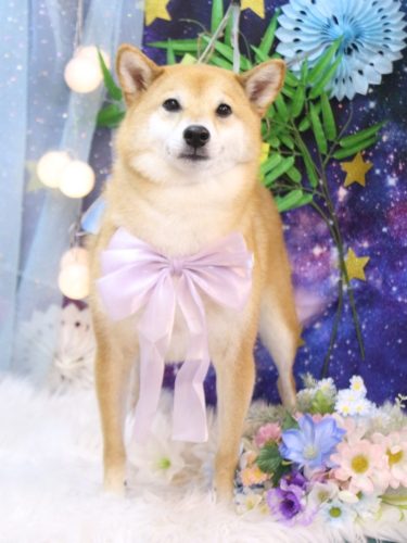 20250720シュウくん