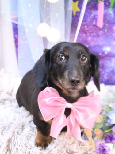 20250720らんちゃん