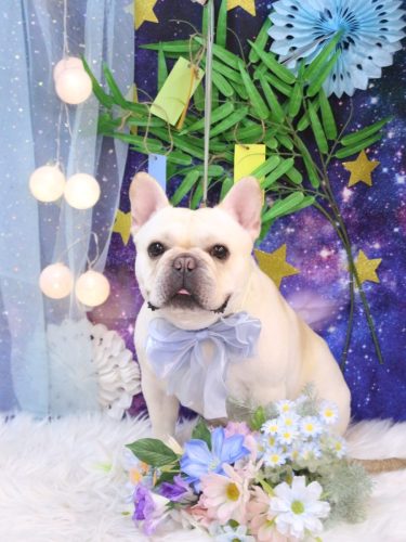 20250720だいずくん