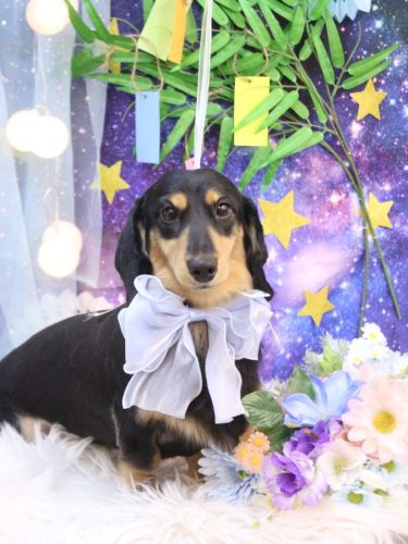 20250720おうたくん