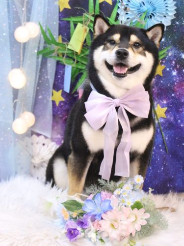 20250720ココくん