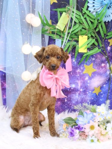 20250720ルナちゃん