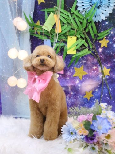 20250721ララちゃん