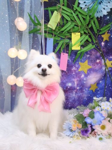 20250721ゆずちゃん