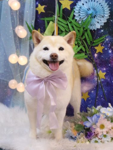 20250721メイちゃん