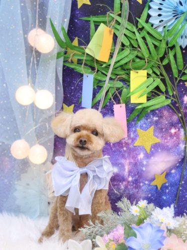 20250721ソラくん