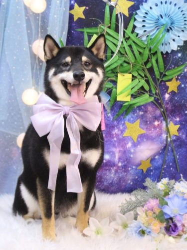 20250721黒丸くん