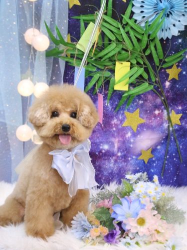 20250721かんたくん