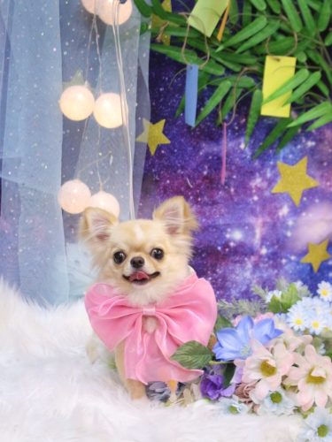 20250722詩ちゃん