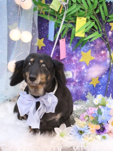 20250722マロンくん