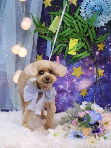 20250722クッキーくん