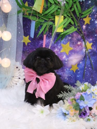 20250722つむぎちゃん