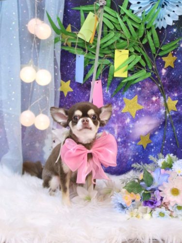 20250722くるみちゃん