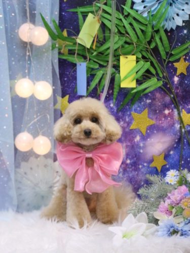 20250722サラちゃん