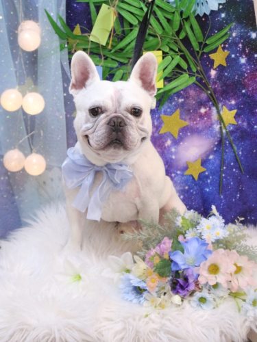 20250722ブーくん