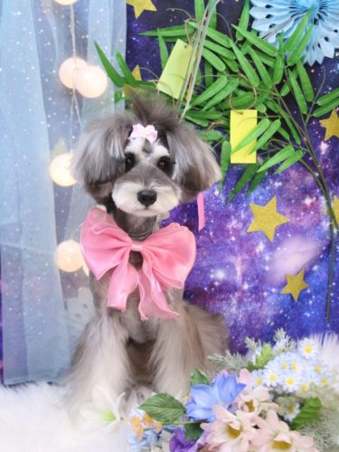 20250722ルナちゃん