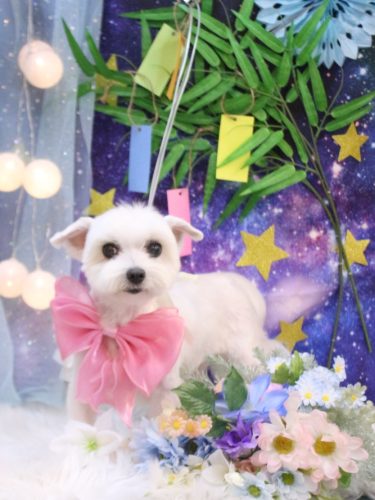 20250723うららちゃん