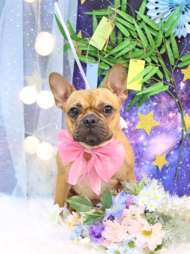 20250723EVEちゃん