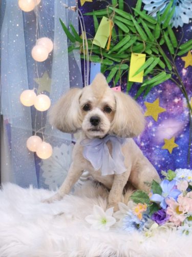 20250723イザくん