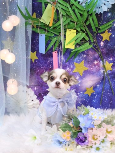 20250723トキくん