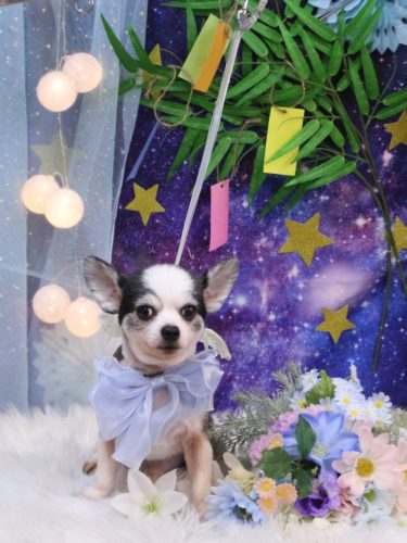 20250723レイくん