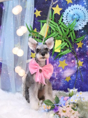 20250723むぎちゃん